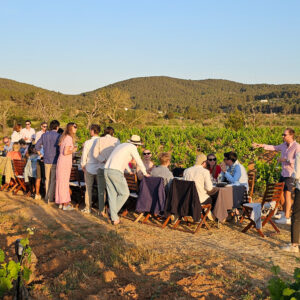 Pic Nic at the vineyard in Ibiza x Ibizkus