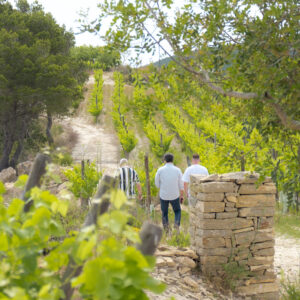 Ibiza vibes with sea views in the vineyard x Blacknose